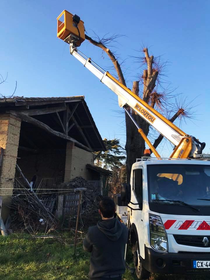Elagage Abattage Arbre Lacourt-Saint-Pierre
