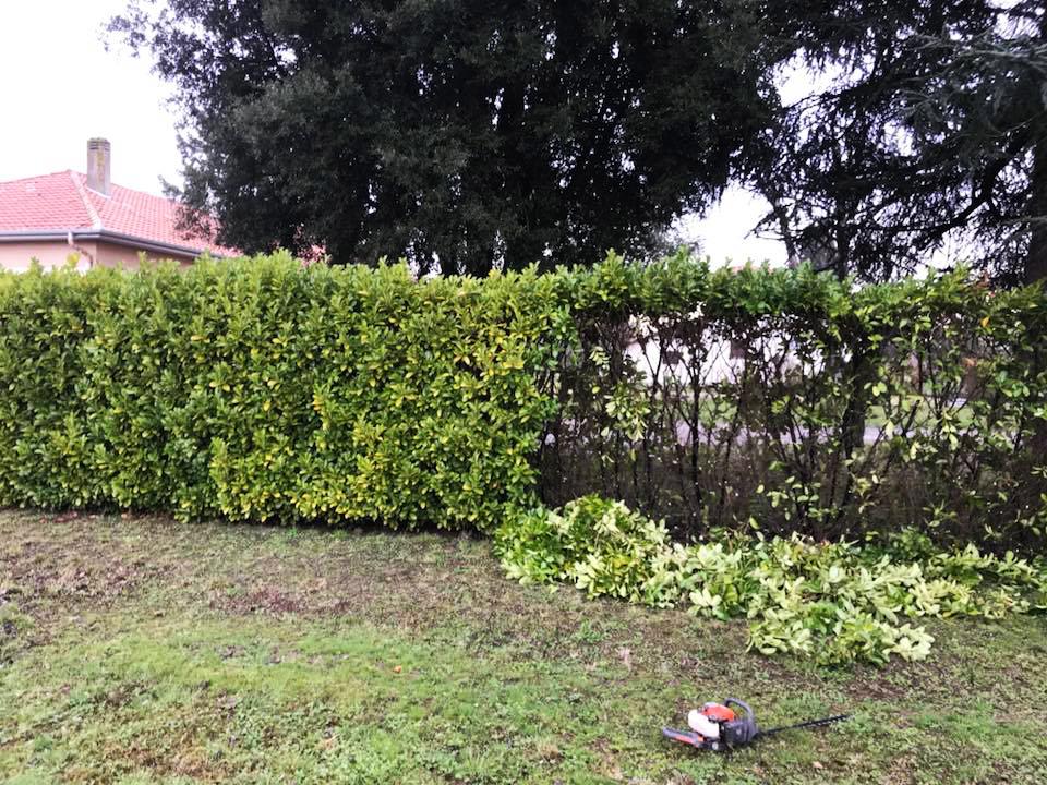 Quels sont les avantages de faire appel à une entreprise pour l'entretien de jardin ? Montech
