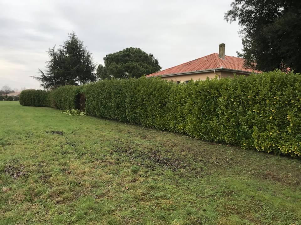 Entreprise d’entretien de jardin à votre service, Montauban