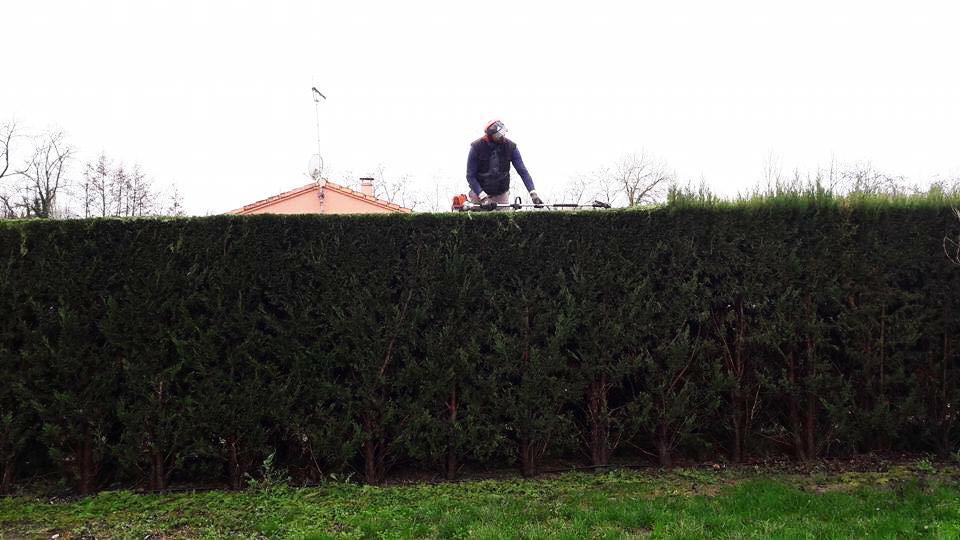 Entretien de jardin Montech
